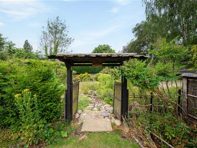 Picture 20